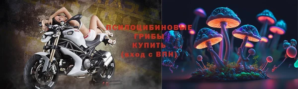 соль курить ск Алексеевка