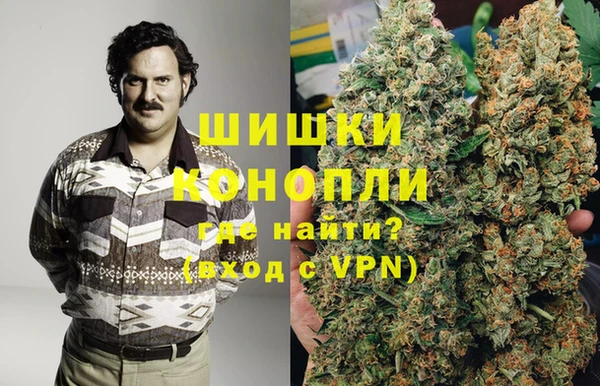 дурь Алзамай