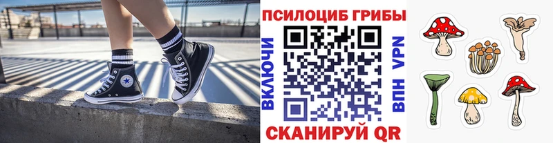 Псилоцибиновые грибы MAGIC MUSHROOMS  где купить   OMG вход  Кола 